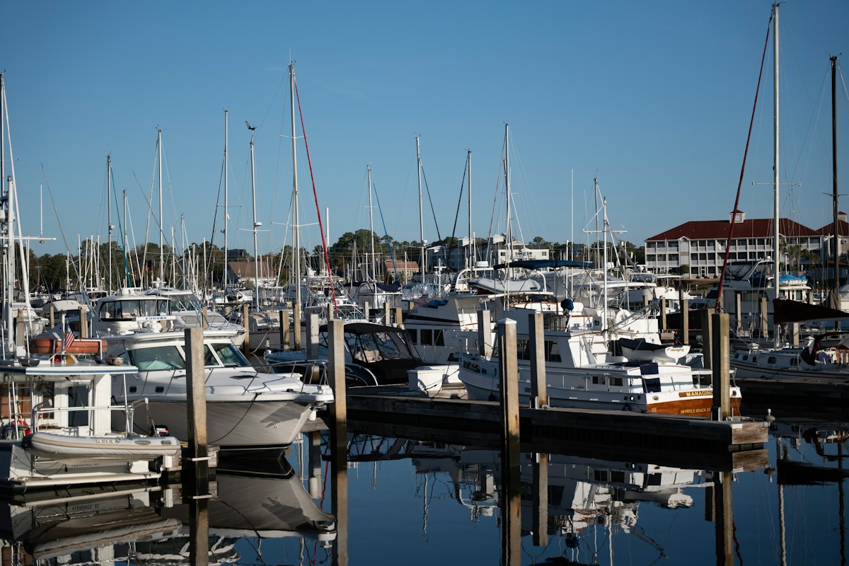 A marina filled with docked white boats