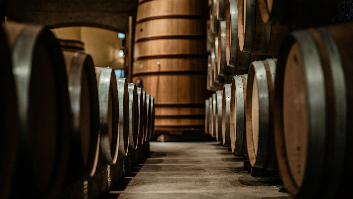 A row of wine barrels in a winery cellar