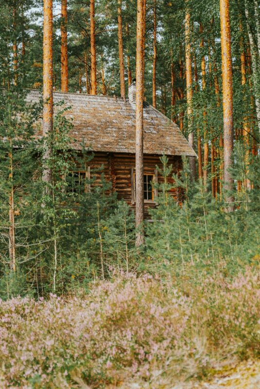 Cabin in the woods